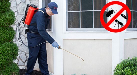 Muğla Akrep İlaçlama böcek ilaçlama ve haşere kontrolü — ilaclama-tr.com